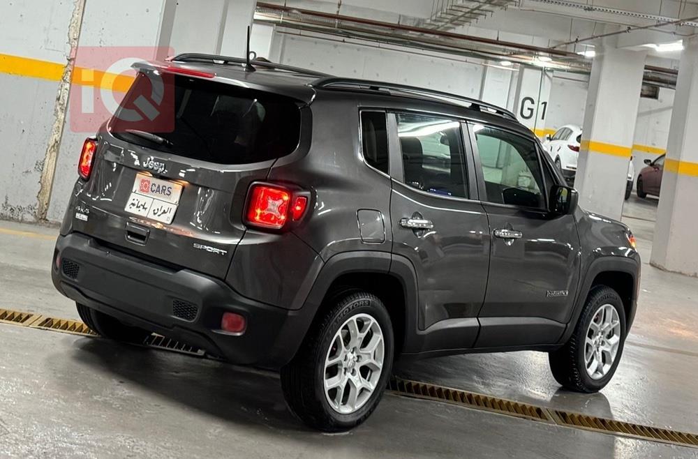 جيب رينيجيد